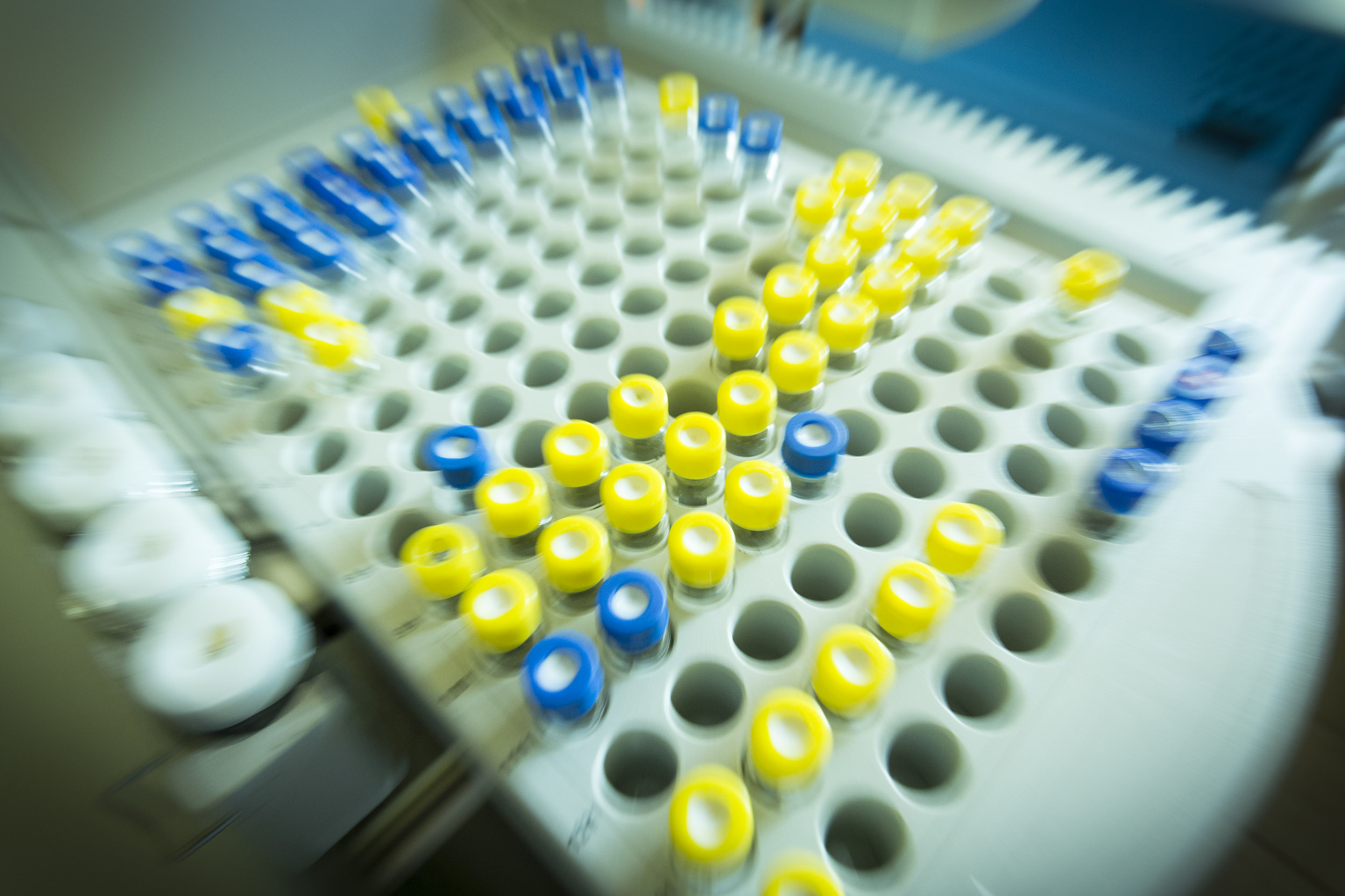 Laboratorios UEM 1446