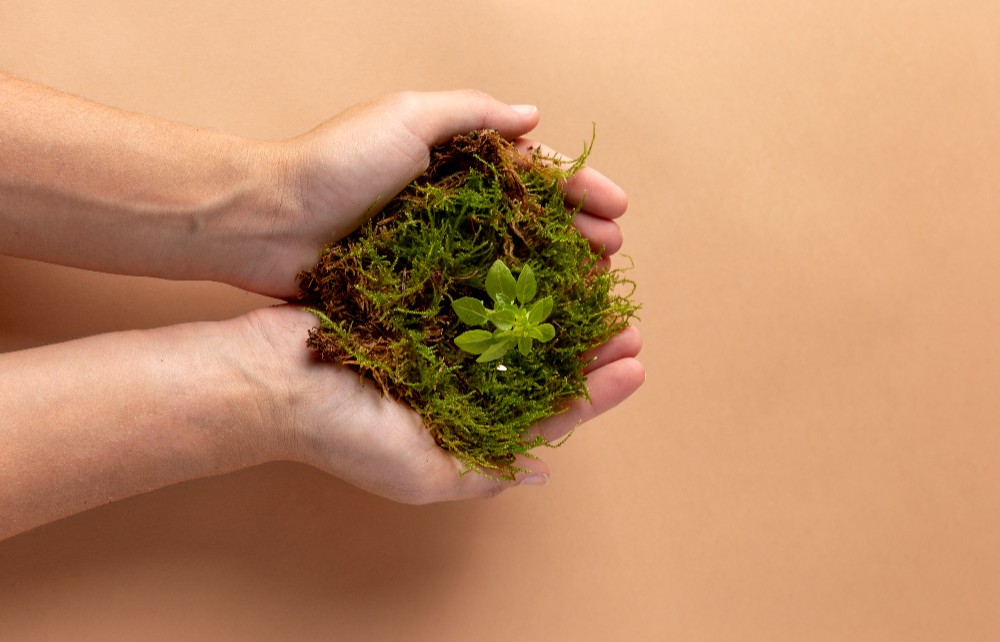 Sustentabilidade