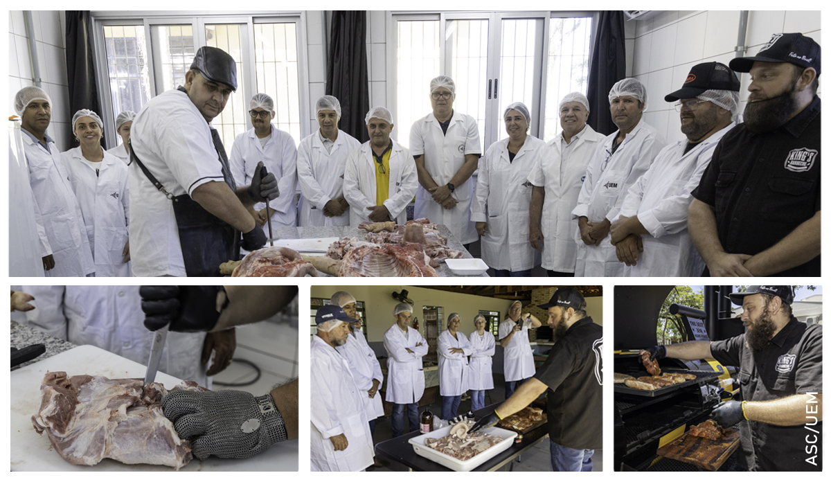 curso de corte fei
