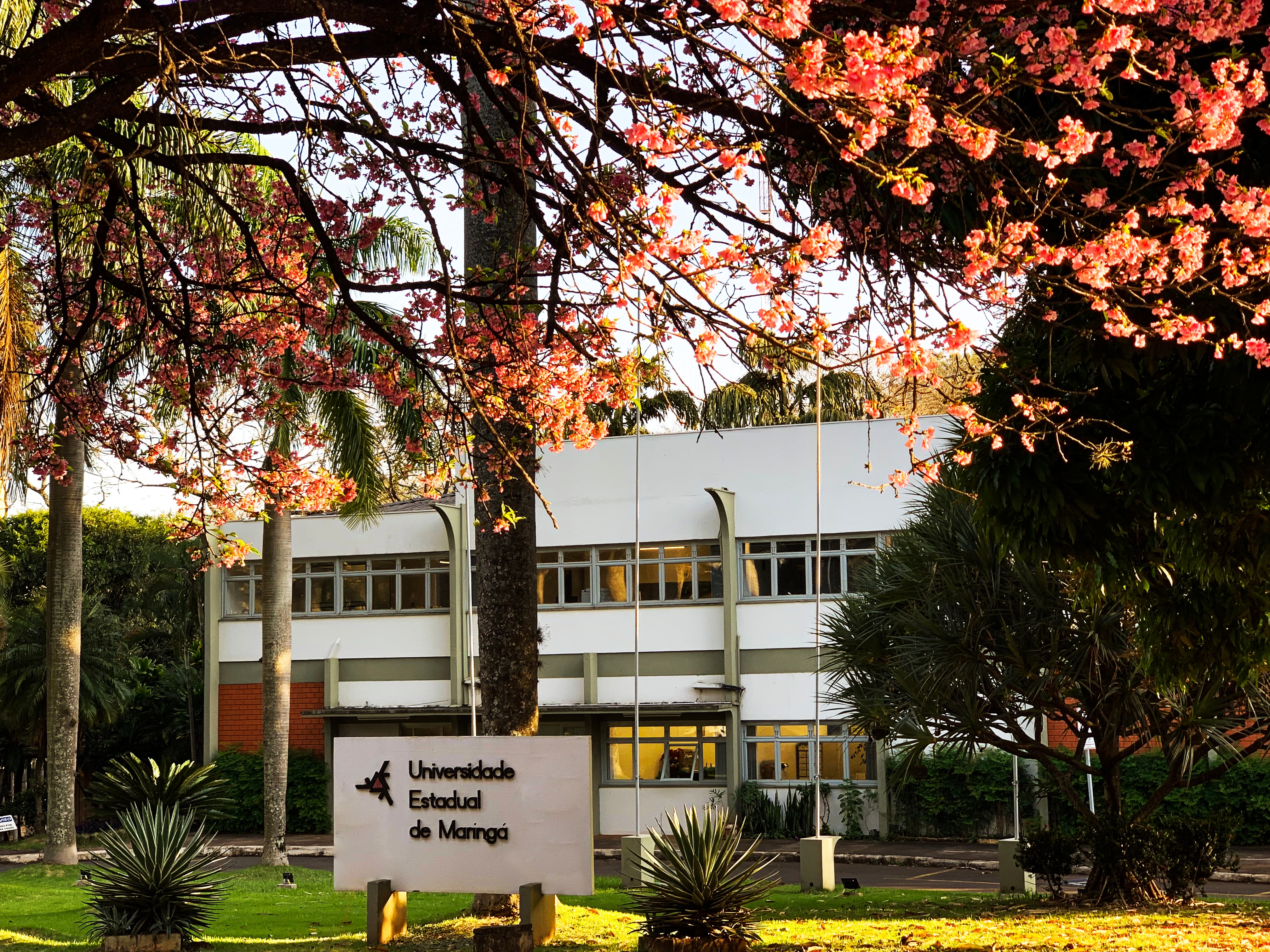uem 3 1 site