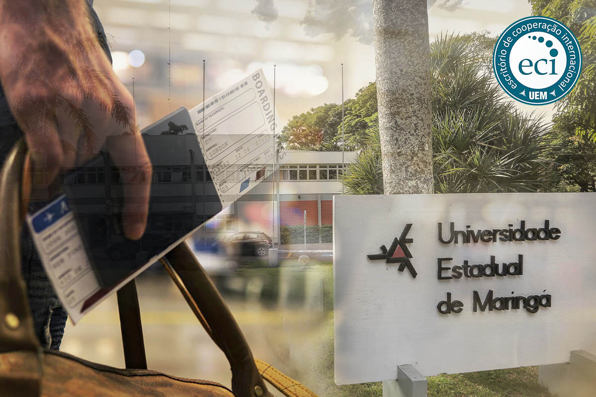 ECI bolsa professor visitante internacional