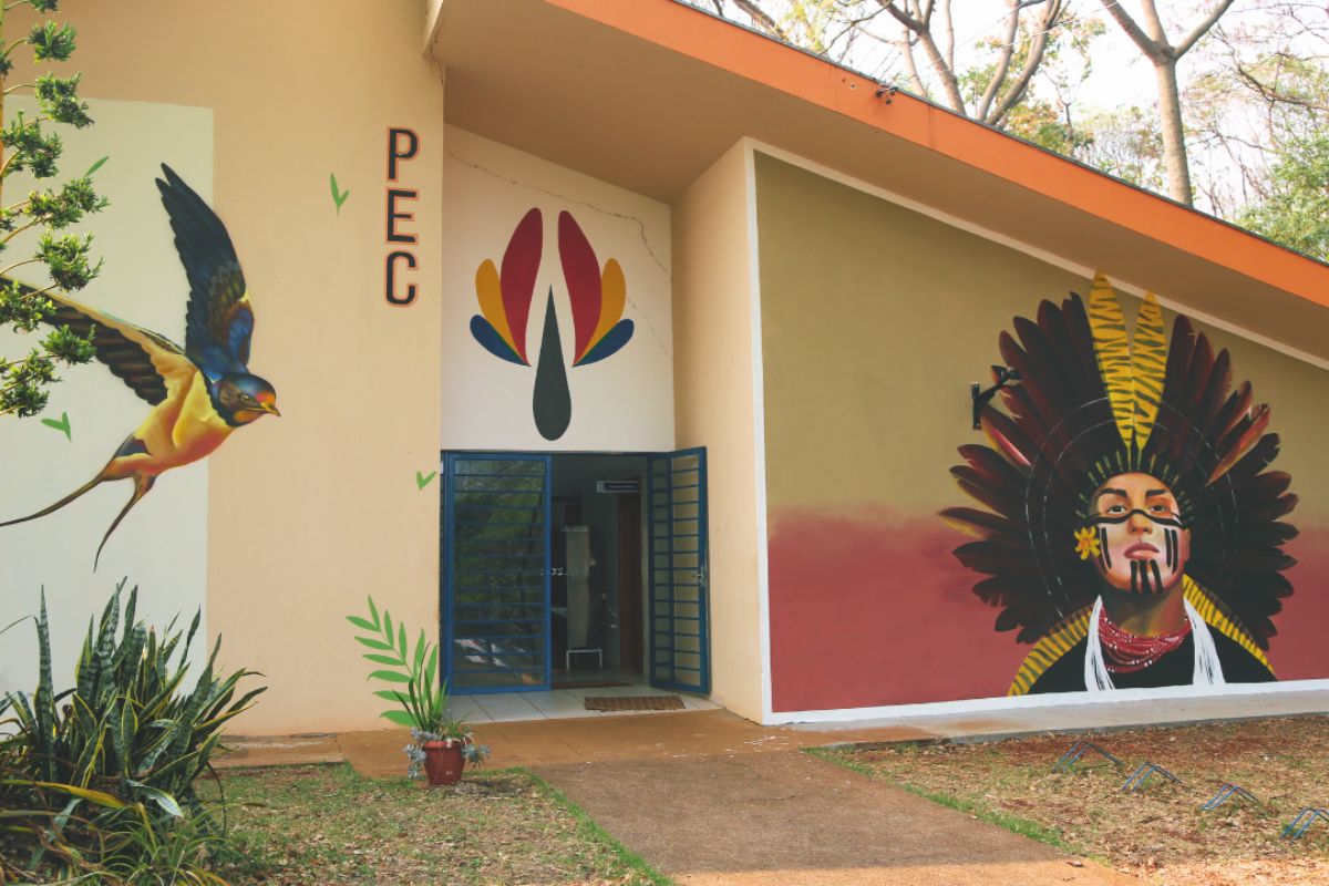 concurso grafite