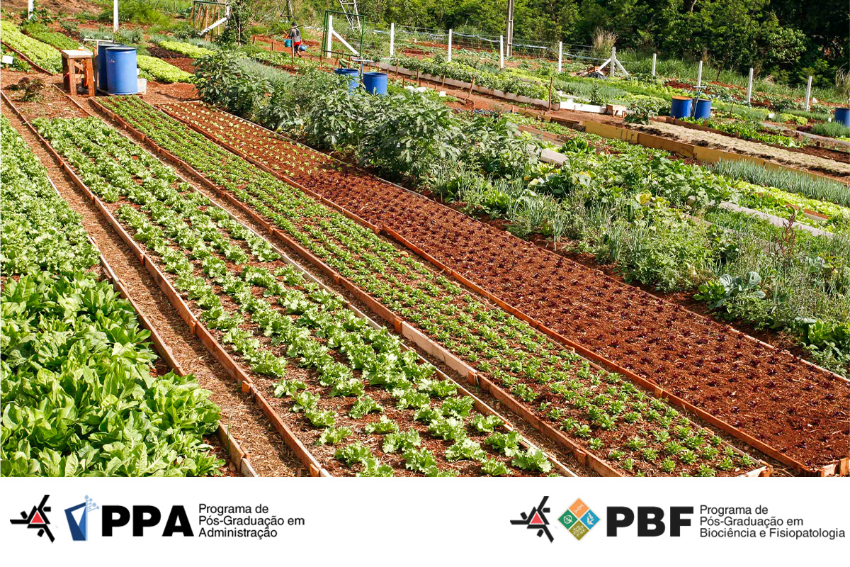 foto Sistema Agroalimentares