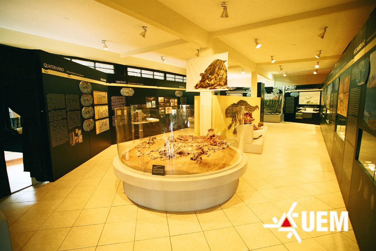 museus 1