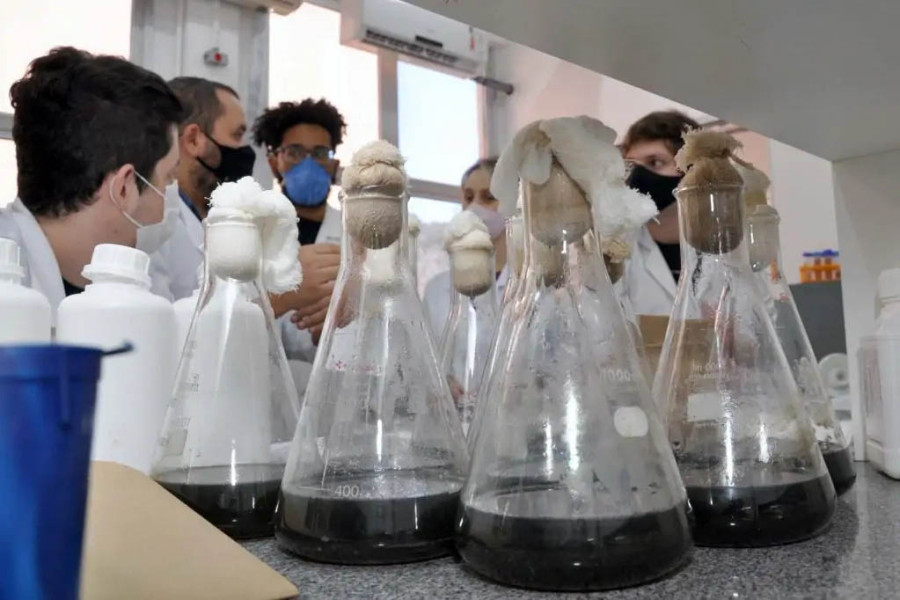 laboratorio2-1024x682jpg