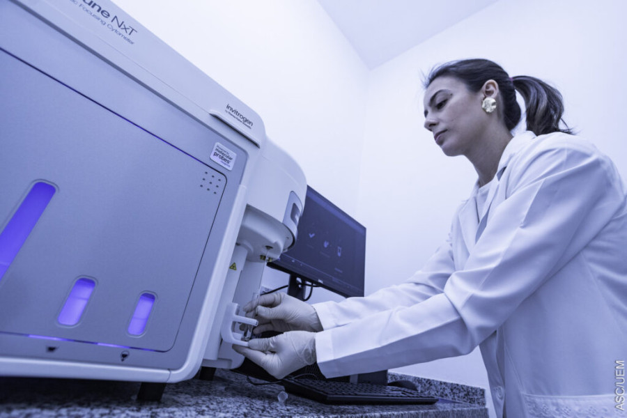 uem-exames-pre-transplante-1024x683