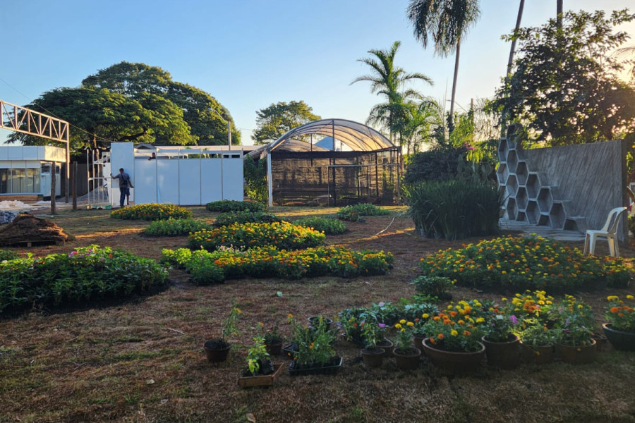 expoinga