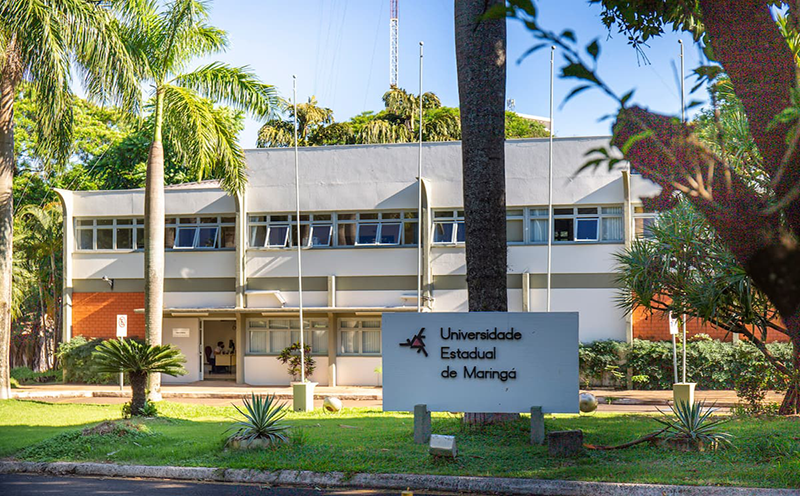 uem-abre-processo-para-contratacao-de-professores-de-medicina-veja-os-detalhes