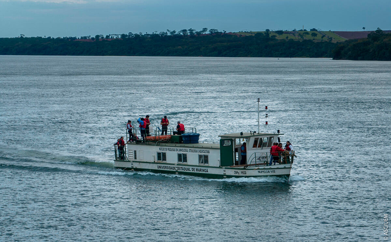 duas-universidades-do-parana-estao-entre-as-que-mais-pesquisam-biodiversidade-segundo-ranking-internacional