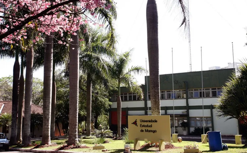 uem-tera-cinco-novos-cursos-de-graduacao-em-2025-veja-quais
