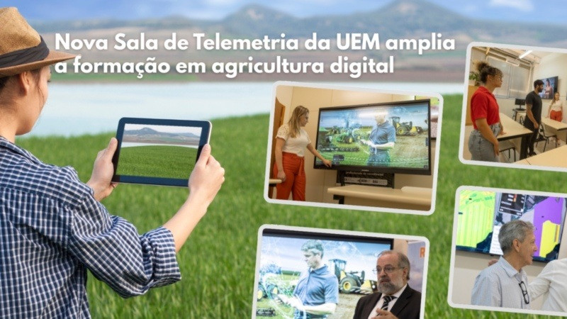 sem-titulo
